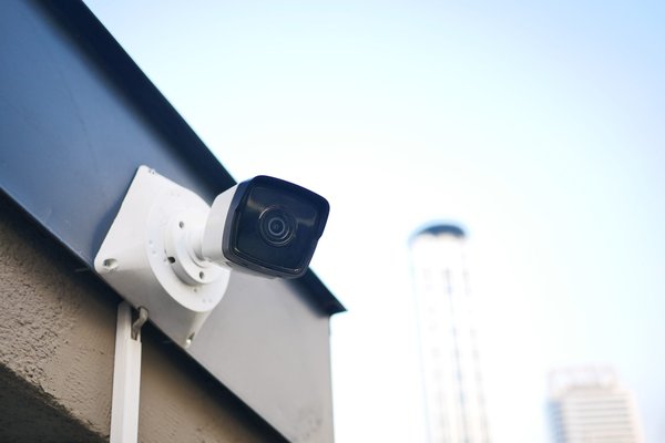 Quelles caméras de surveillance Evziz choisir ?